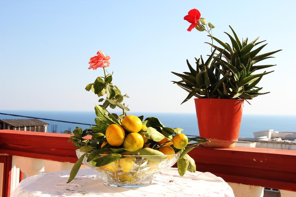 Alvanita Apartments Ulcinj Bagian luar foto