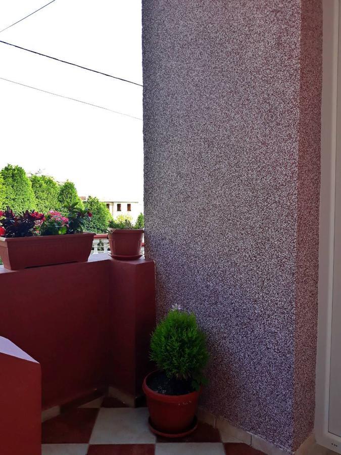 Alvanita Apartments Ulcinj Bagian luar foto