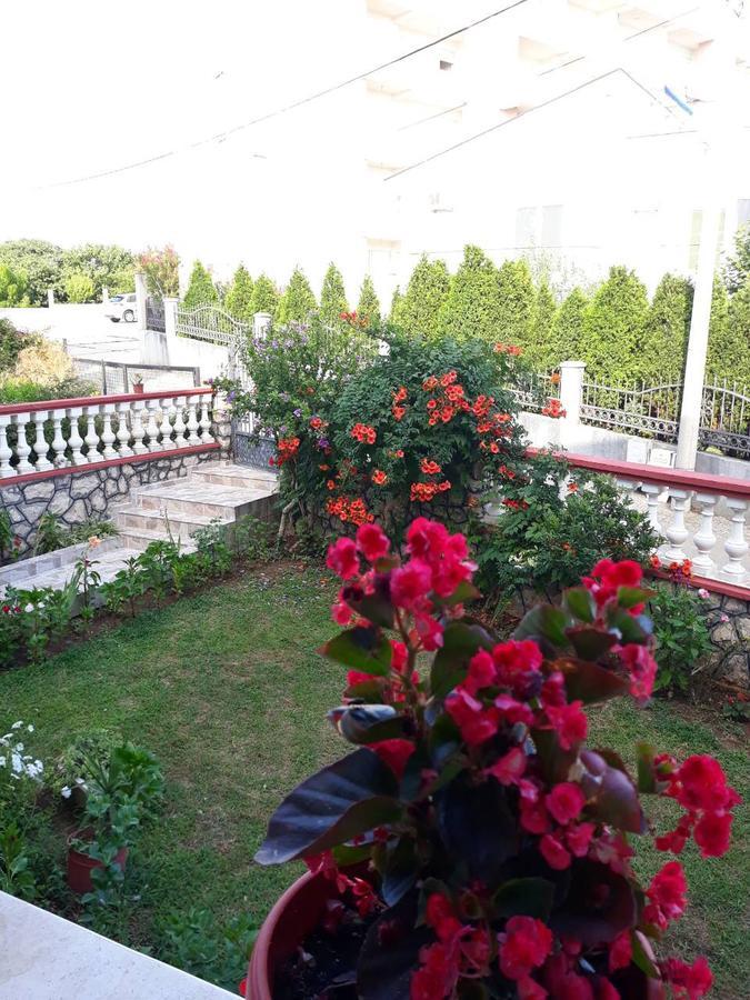 Alvanita Apartments Ulcinj Bagian luar foto