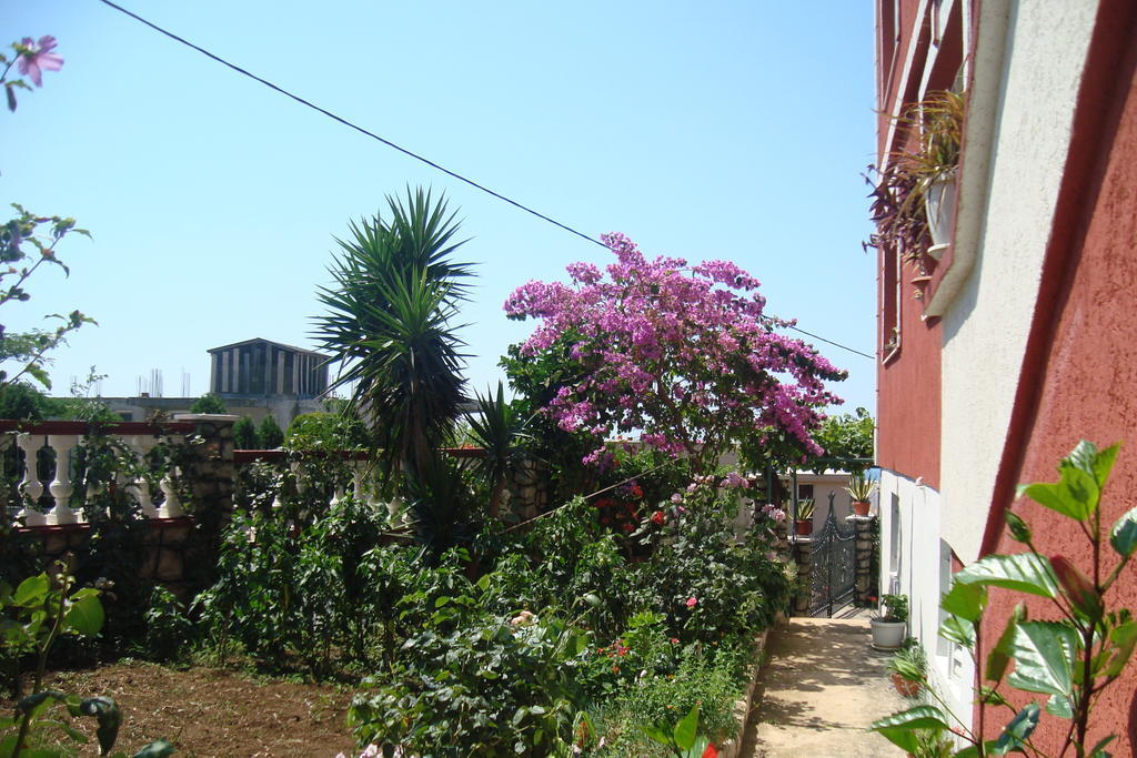 Alvanita Apartments Ulcinj Bagian luar foto